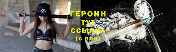 прущие грибы Новозыбков