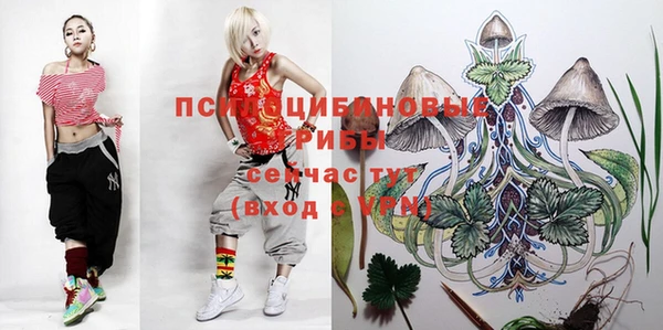 mdma Нязепетровск