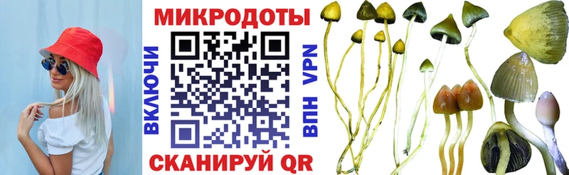 Галлюциногенные грибы GOLDEN TEACHER Зеленодольск