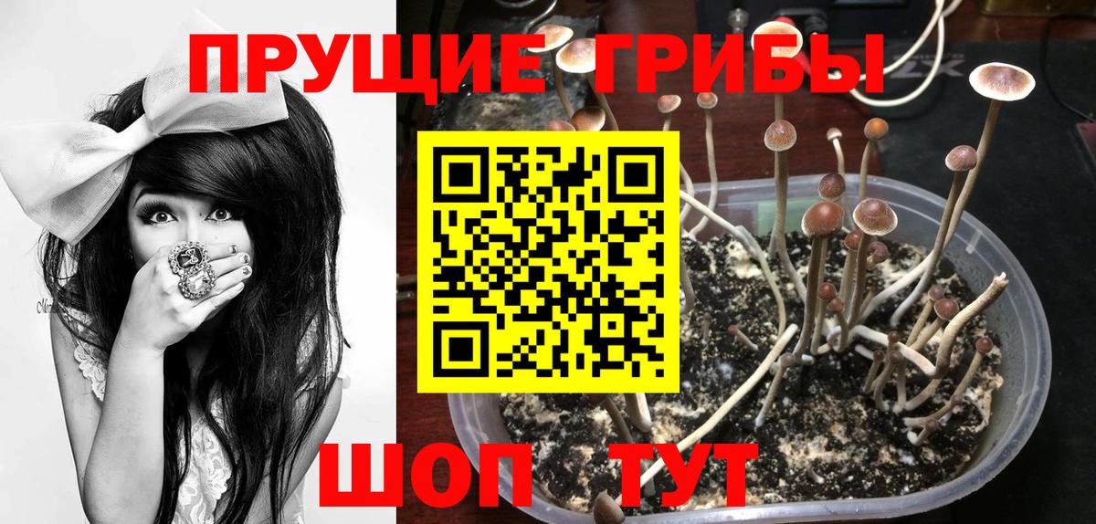 МЕТАМФЕТАМИН  МЕФ  Кокаин  Зеленодольск  ГАШИШ  Вход с VPN  Бошки Шишки  Каннабис  Меф МЯУ МЯУ  