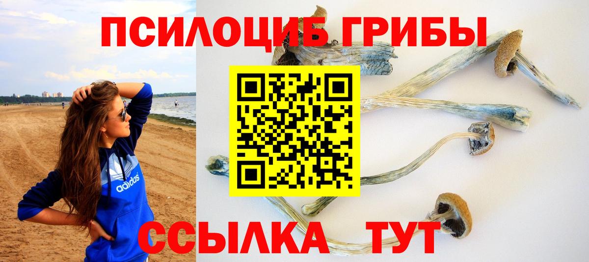 Зеленодольск  Псилоцибиновые грибы Magic Shrooms  Вход с VPN  Галлюциногенные грибы GOLDEN TEACHER 
